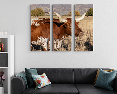 3 pieces 50cmx100cm canvas print